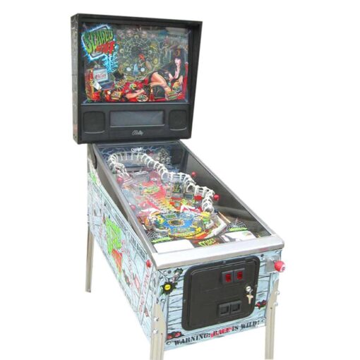 Scared Stiff Pinball Machine 1 1