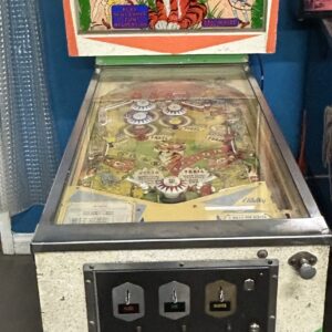 safari pinball machine