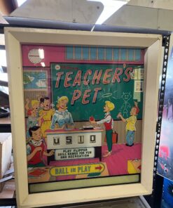 teachers pet pinball machine