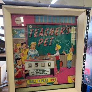 teachers pet pinball machine
