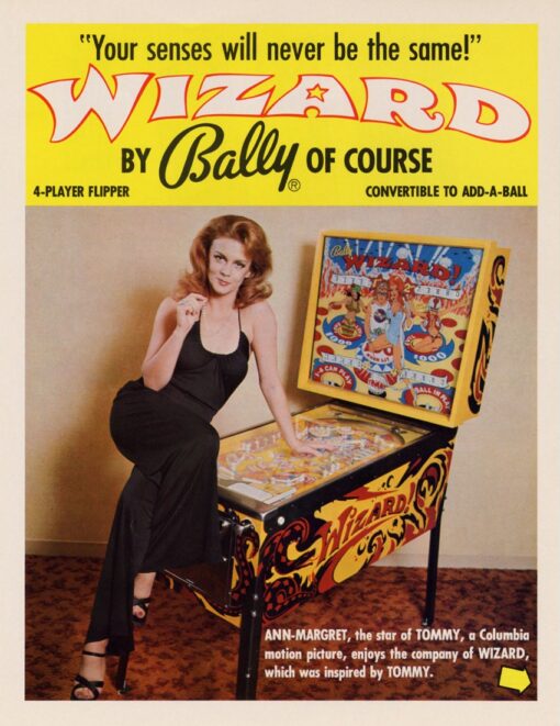 wizard pinball machine